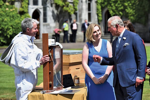 Edwards Murphy meeting with Prince Charles when he visited her alma mater, University College Cork, in June 2018.